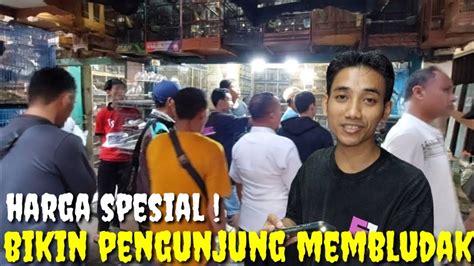 Busett Kios Ini Semakin Siang Pengunjung Padat Merayap Burung Bener