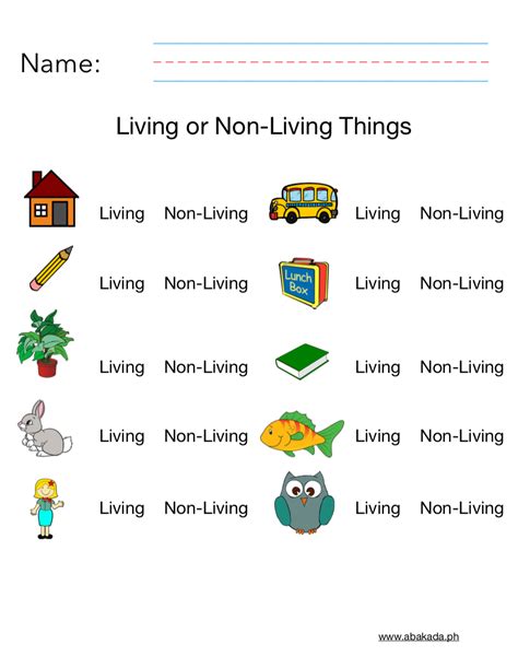 Living And Non Living Things Worksheet Living And Non Living