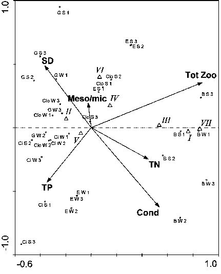 Rda Ordination Diagram For Morphologically Based Functional Groups Download Scientific Diagram