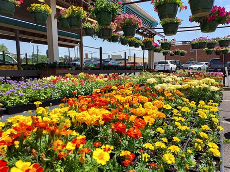 Downtown Benton Farmers... - Downtown Benton Farmers Market