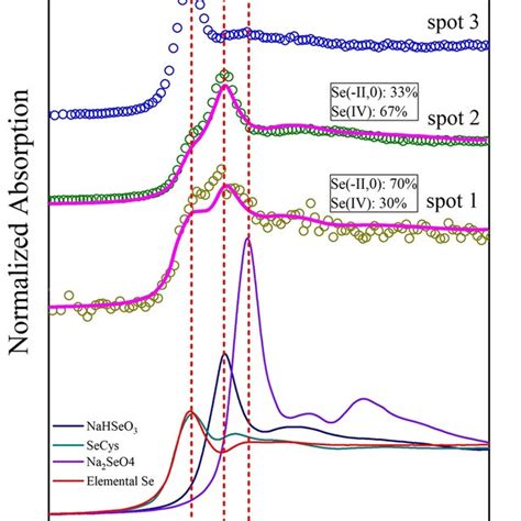 Xrf Maps Showing The Elemental Distribution In The Soil A C Shows