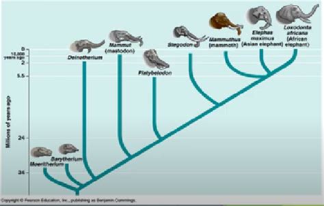 Chapter 1 Introduction To Biology Notes Flashcards Quizlet