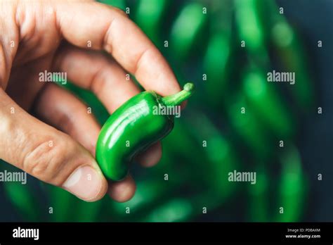 Green Jalapeno Chili Hi Res Stock Photography And Images Alamy