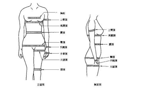 服裝紙樣設計第二課人體尺寸測量與標準服裝尺寸規格上 每日頭條