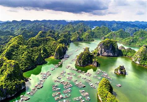 good morning cat ba bus  hanoi day tours cruises  cat ba island