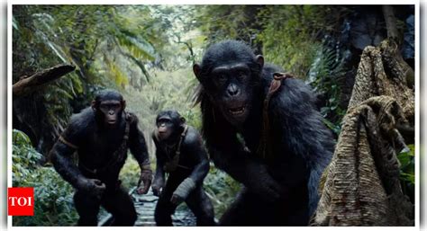 Kingdom Of The Planet Of The Apes Box Office Collection Freya Allan