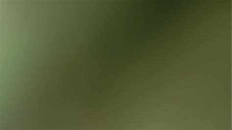 Vidéos anal page XVIDEOS