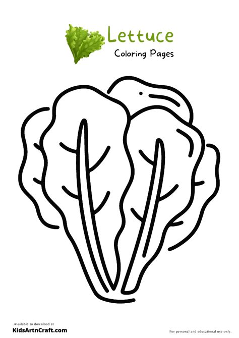 Lettuce Coloring Pages For Kids Free Printables Kids Art And Craft