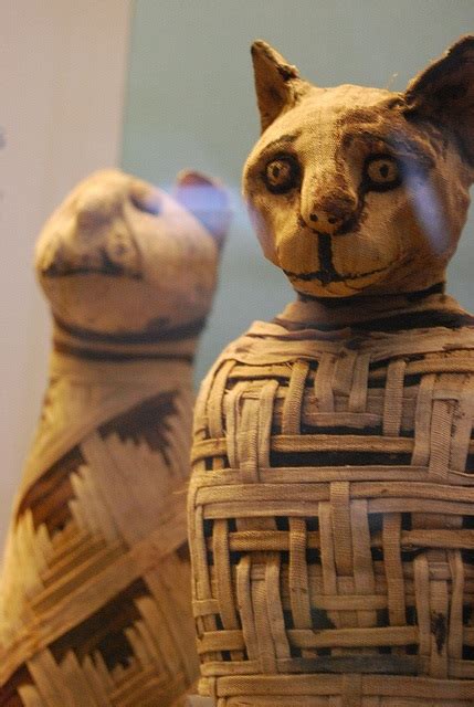 Ancient Egypt Mummies