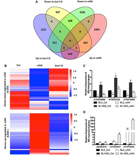 [pdf] Arabidopsis Wrky46 Wrky54 And Wrky70 Transcription Factors Are Involved In