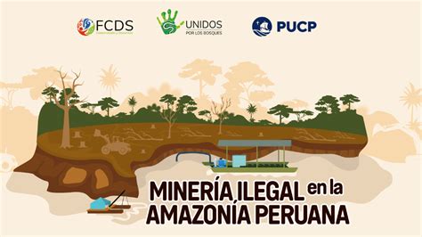 La Pucp Y Unidos Por Los Bosques Presentan Foro Minería Ilegal En La