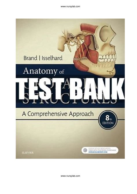 Anatomy Of Orofacial Structures Th Brand Test Bank Anatomy Of