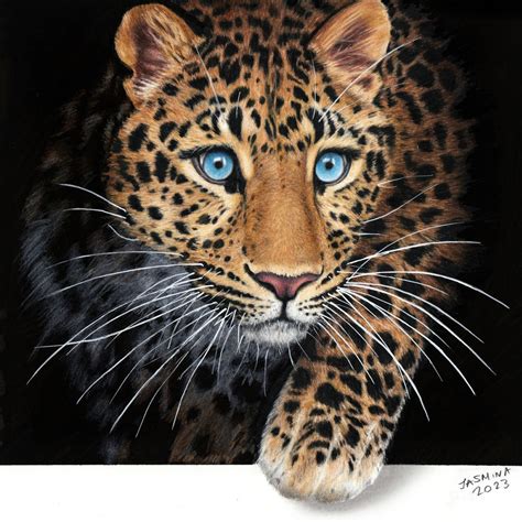 Colored pencil drawing: a Leopard by JasminaSusak on DeviantArt