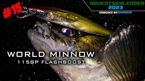 Shimano Bantam WORLD MINNOW 115SP ADVENTSKALENDER 15 YouTube