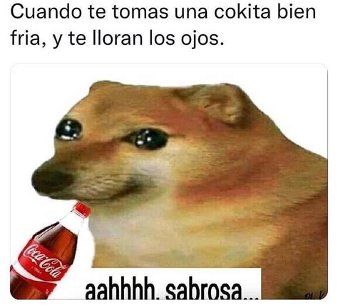 Cuando Te Tomas Una Cokita Bien Fr A Y Te Lloran Los Ojos Aahhhh