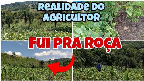 FUI PRA ROÇAdia de plantar mandioca colhi alho e cenoura roça