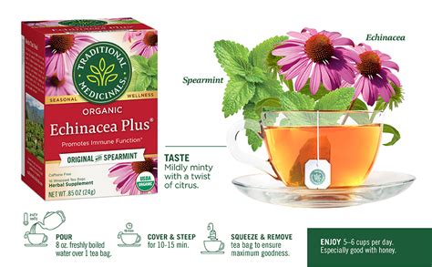 Traditional Medicinals Tea Organic Echinacea Plus Promotes Immune