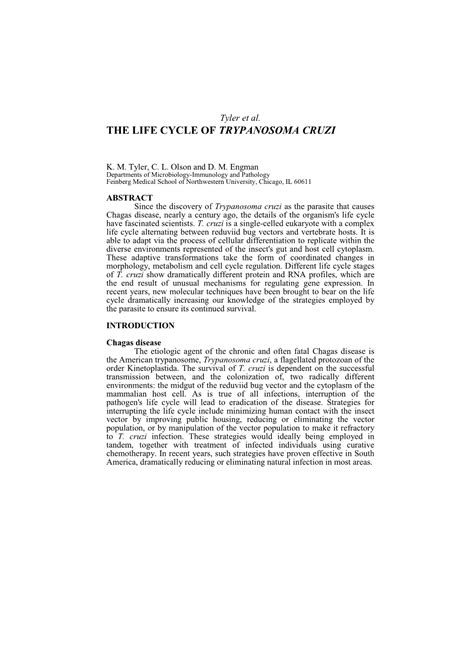 The Life Cycle of Trypanosoma Cruzi - DocsLib