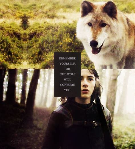 Bran And Summer Bran Stark Stark Game Of Thrones Pictures