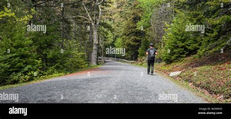 man walking  path stock photo alamy