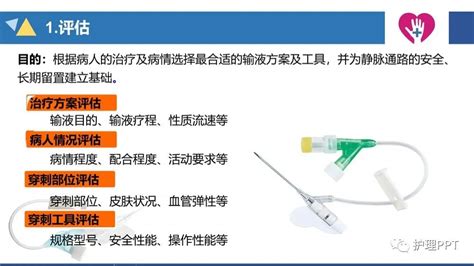 【ppt】静脉留置针的应用与维护护士输液药物患者 健康界