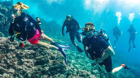 Try Dive Scuba Experience Dubai Uae Course