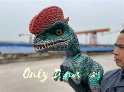 Stunning Dilophosaurus Fake Arm Puppet Only Dinosaurs