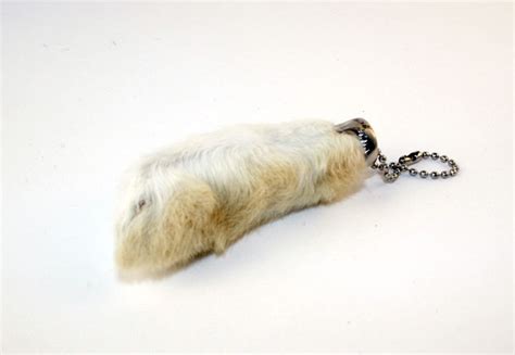 White Rabbits Foot Object Lessons Natural World Earth