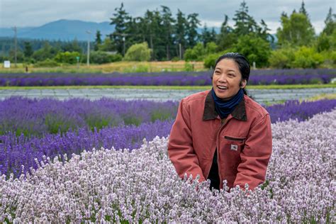 Sequim Lavender Weekend Manda Rozanne