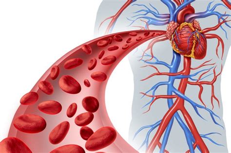 Classificazione Eziologica Dellipertensione Arteriosa