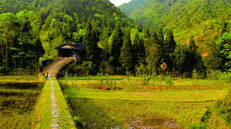 非遗里的闽人智慧｜跨山过水、见证巨变的木拱廊桥