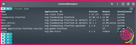 Comment lister les paquets installés sous Linux lizengo fr 2025