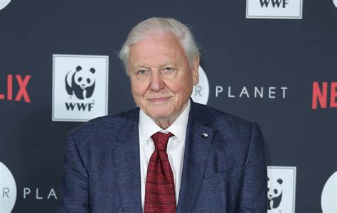 David Attenborough’s new Netflix series ‘Our Planet’: release date ...