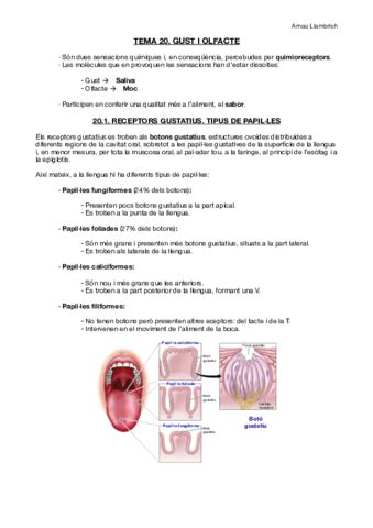 Apunts Fisiologia I Fisiopatologia I Tema Pdf