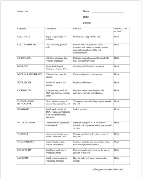 Solved Biology Grade Name Date Period Organelle Chegg