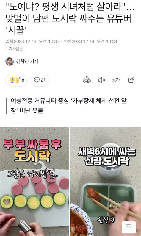 노예냐 평생 시녀처럼 살아맞벌이 남편 도시락 싸주는 유튜버 시끌 Dogdripnet 개드립