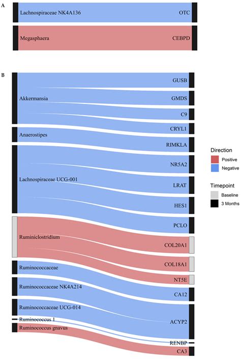 Cross Sectional Associations Between Dname And Gut Microbiota The Download Scientific Diagram