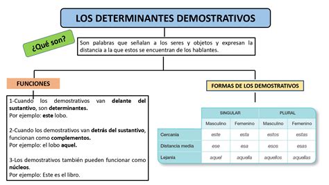 Super Al Los Determinantes Demostrativos Posesivos Numerales E Indefinidos