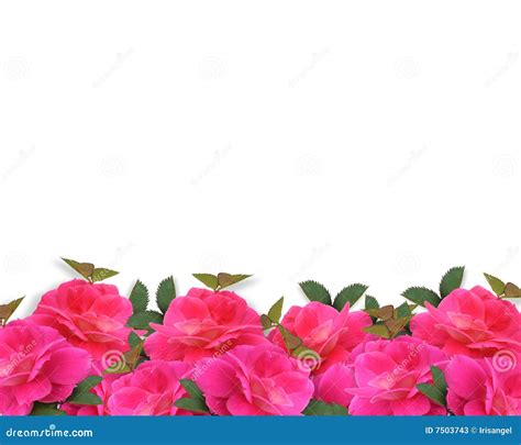 Rose Border Backgrounds