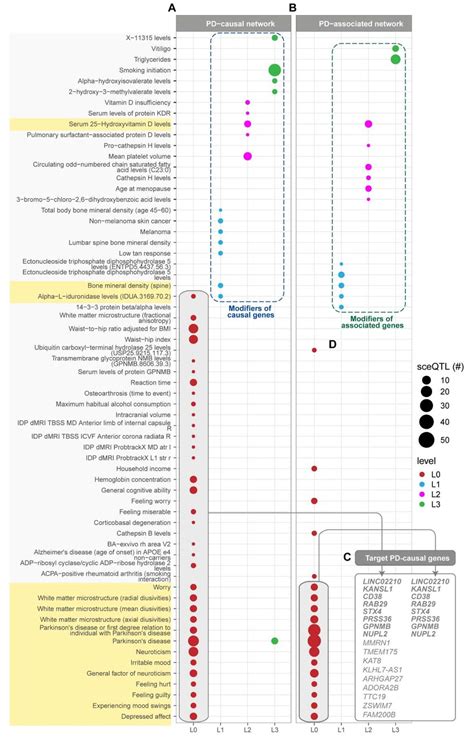 Ppi Networks Seeded With Pd Causal Genes And Associated Gwas Snps