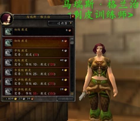 魔兽世界怀旧服剥皮1 300攻略360新知