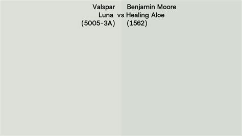 Valspar Luna 5005 3A Vs Benjamin Moore Healing Aloe 1562 Side By