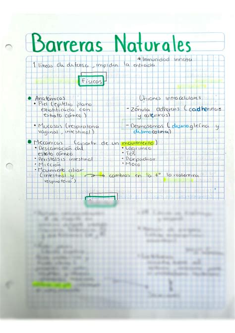 SOLUTION Barreras naturales Inmunología Studypool