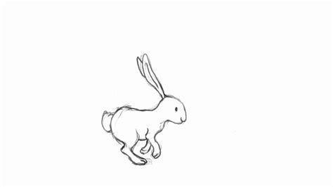 Running Rabbit Drawing at GetDrawings | Free download