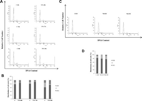 Effects Of Valproic Acid On Cell Cycle Distribution In Prostate Cancer