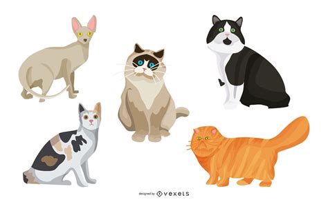 Cat Illustration Set Vector Download