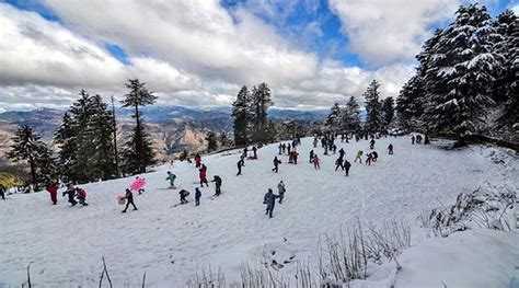 Shimla City Receives First Snowfall Of Science News The