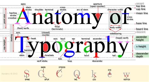 Typography In Graphic Design