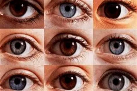 ¿de Qué Color Son Tus Ojos Este Test Visual Revela Rasgos De Tu Personalidad Que Desconocías