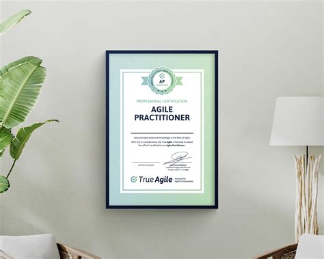 Agile Practitioner Trueagile The Meta Institute For Agility And Innovation